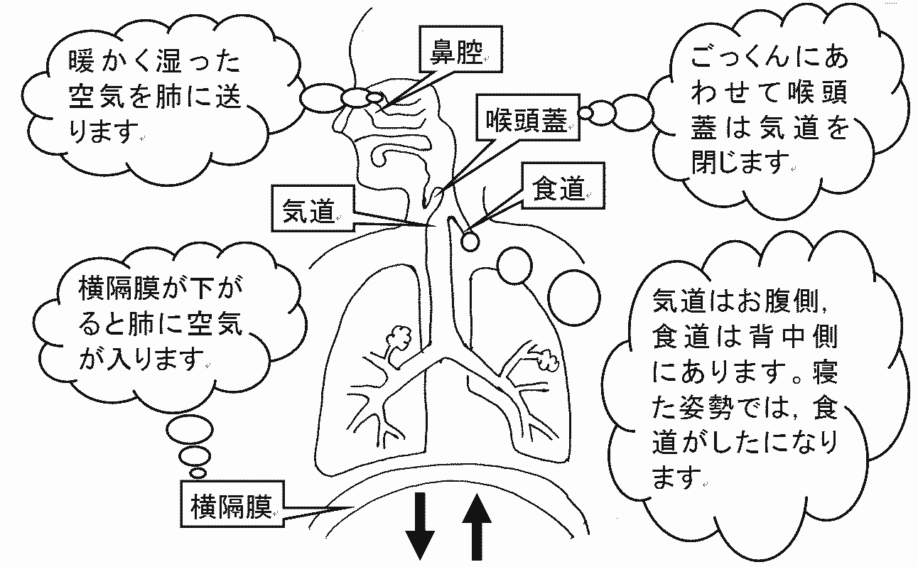 第二回 呼吸と日常生活